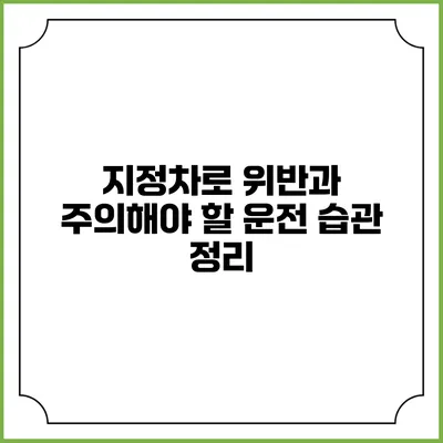 지정차로 위반과 주의해야 할 운전 습관 정리