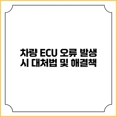 차량 ECU 오류 발생 시 대처법 및 해결책