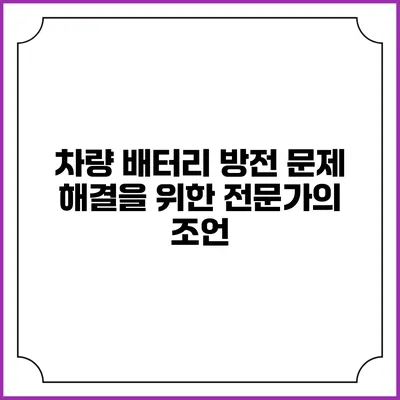 차량 배터리 방전 문제 해결을 위한 전문가의 조언
