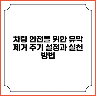 차량 안전을 위한 유막 제거 주기 설정과 실천 방법