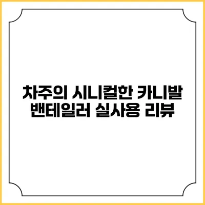 차주의 시니컬한 카니발 밴테일러 실사용 리뷰