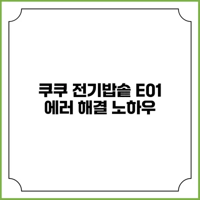 쿠쿠 전기밥솥 E01 에러 해결 노하우