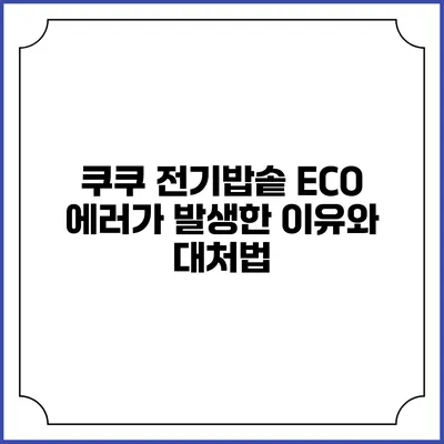쿠쿠 전기밥솥 ECO 에러가 발생한 이유와 대처법