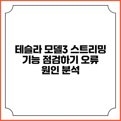 테슬라 모델3 스트리밍 기능 점검하기 오류 원인 분석