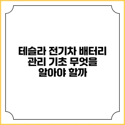 테슬라 전기차 배터리 관리 기초 무엇을 알아야 할까?