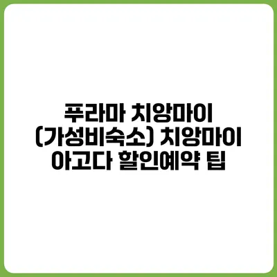 푸라마 치앙마이 (가성비숙소) 치앙마이 아고다 할인예약 팁
