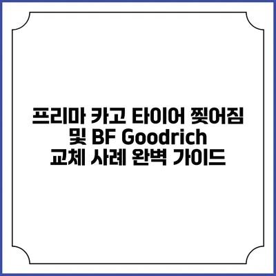 프리마 카고 타이어 찢어짐 및 BF Goodrich 교체 사례 완벽 가이드