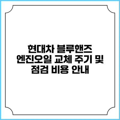 현대차 블루핸즈 엔진오일 교체 주기 및 점검 비용 안내