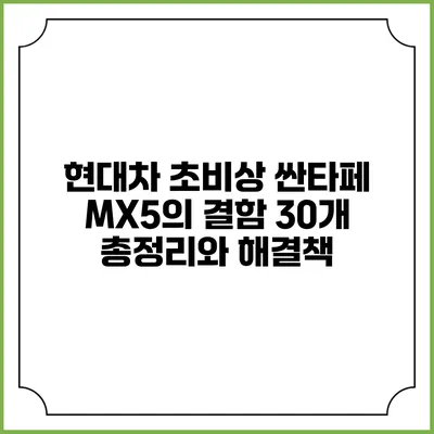 현대차 초비상 싼타페 MX5의 결함 30개 총정리와 해결책
