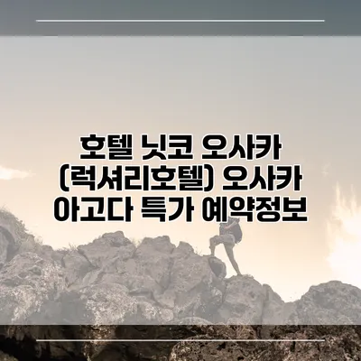 호텔 닛코 오사카 (럭셔리호텔) 오사카 아고다 특가 예약정보
